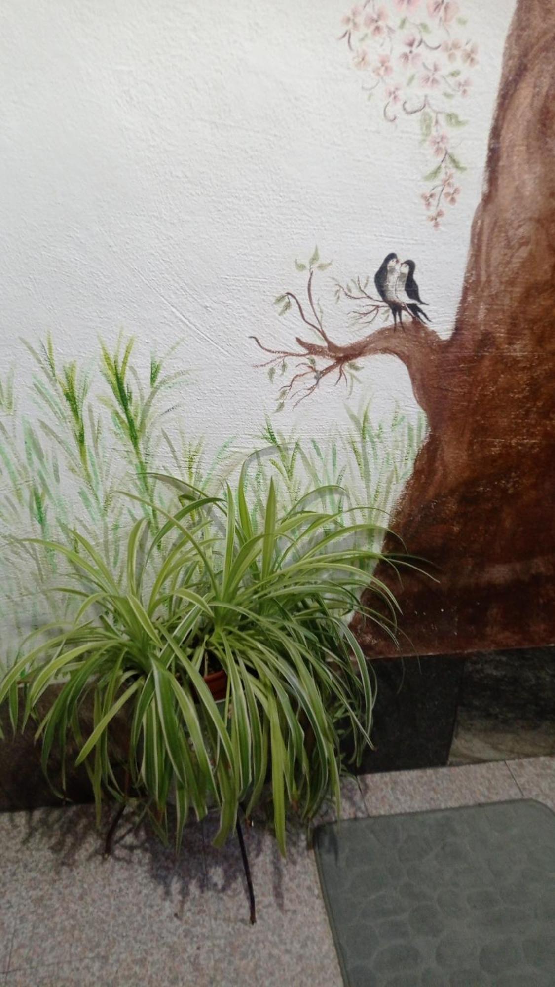 Cueva De La Abuela Villa Los Carriones Ngoại thất bức ảnh