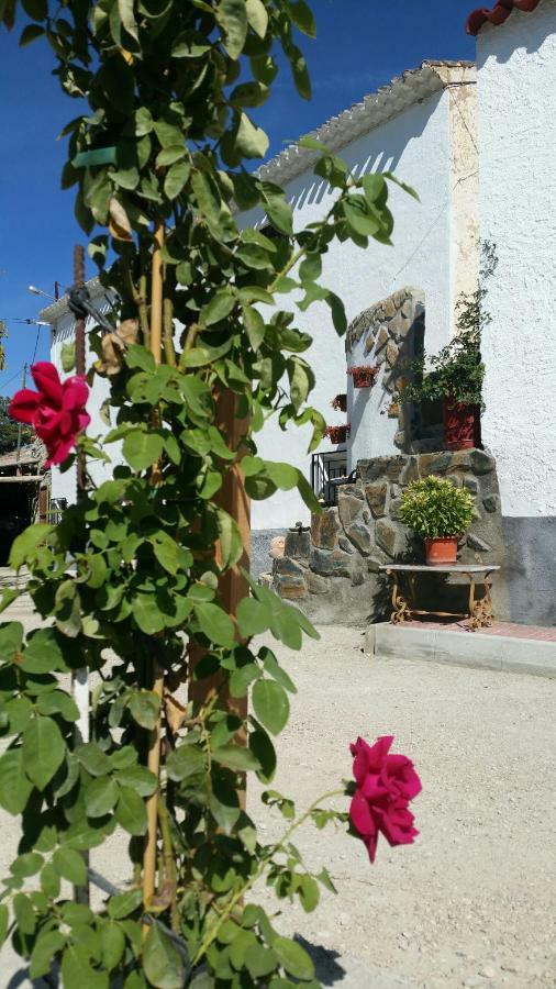 Cueva De La Abuela Villa Los Carriones Ngoại thất bức ảnh